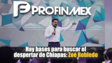 Hay bases para buscar el despertar de Chiapas: Zoé Robledo