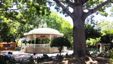 Parque de la Marimba será remodelado a finales de Julio