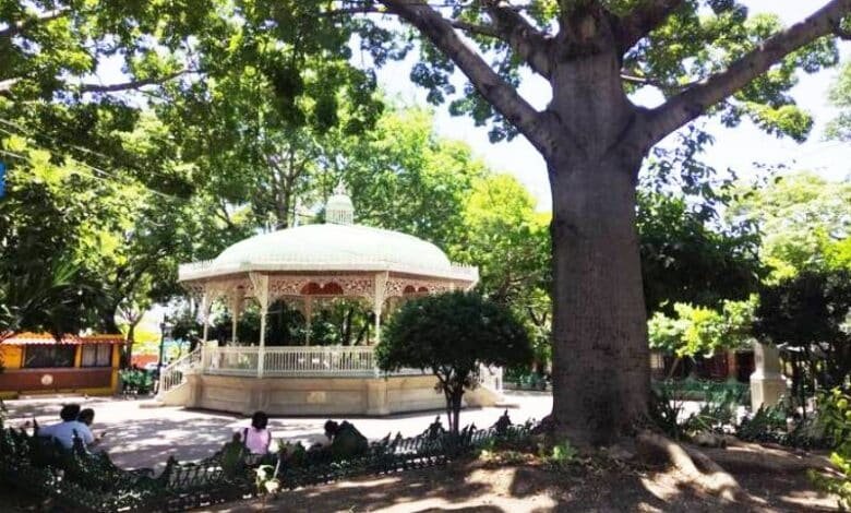 Parque de la Marimba será remodelado a finales de Julio
