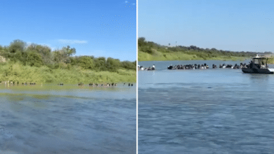 Declaran emergencia por ola de migrantes en Eagle Pass, Texas