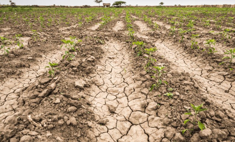 Sequía pega a 108 municipios del Estado de México