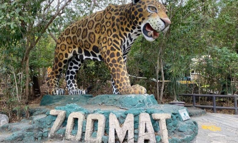 Animales Zoomat.