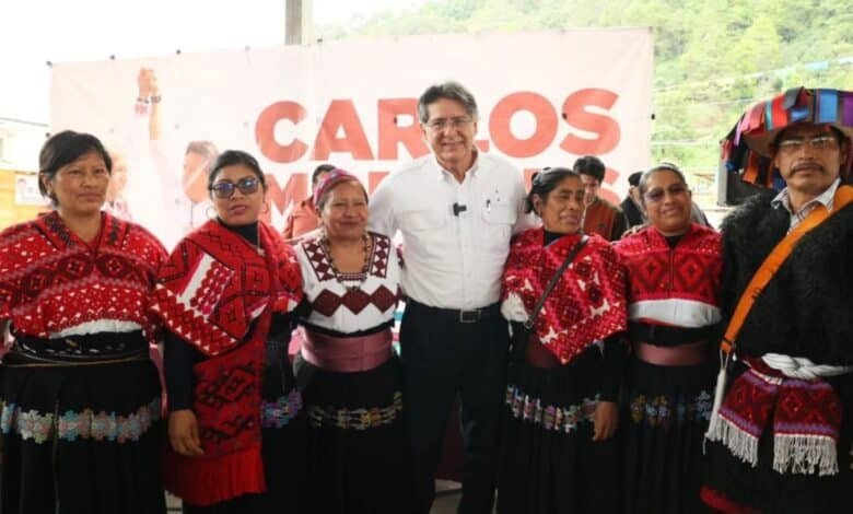 Carlos Morales boletín.