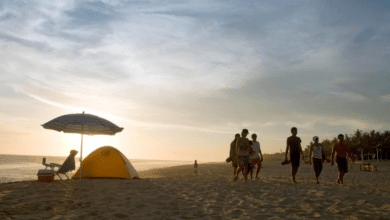 México recibió más de 27 millones de turistas internacionales Sectur