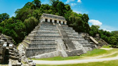 Sin protección ambiental, no habrá futuro para Chiapas Luis Melgar