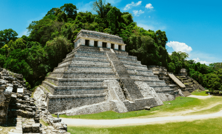 Sin protección ambiental, no habrá futuro para Chiapas Luis Melgar