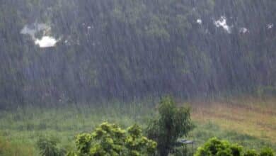 Tormenta.