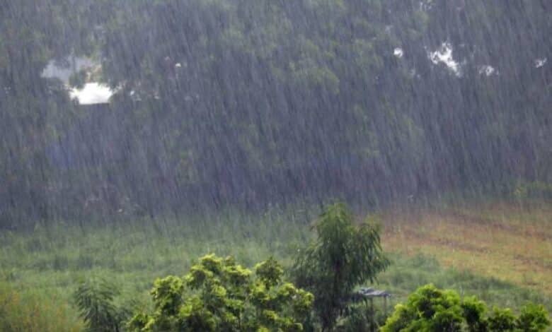 Tormenta.