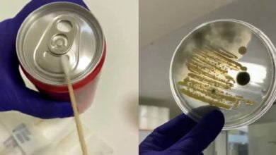 Video muestra qué tan contaminadas están las latas de refresco