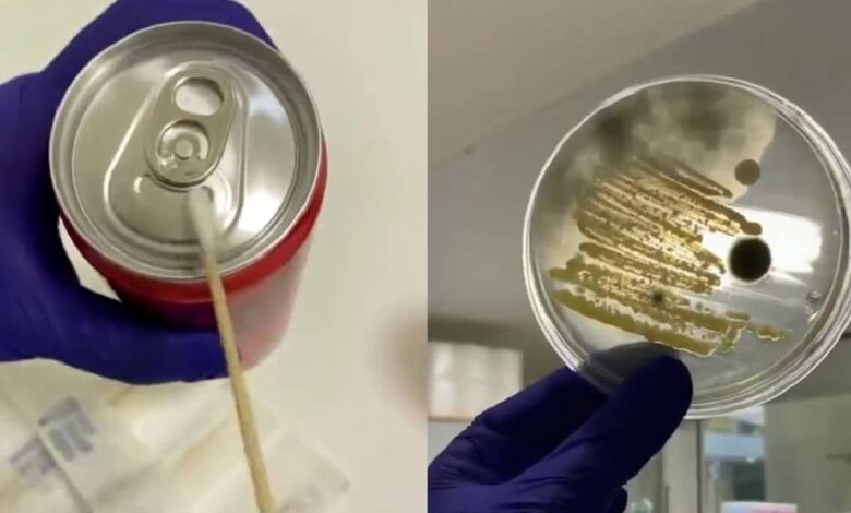 Video muestra qué tan contaminadas están las latas de refresco