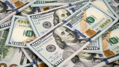 Precio del dólar: moneda abre la semana en 16.96 pesos al mayoreo 