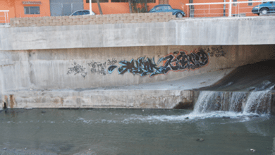 Reportan mejoras en la calidad del agua del río Sabinal