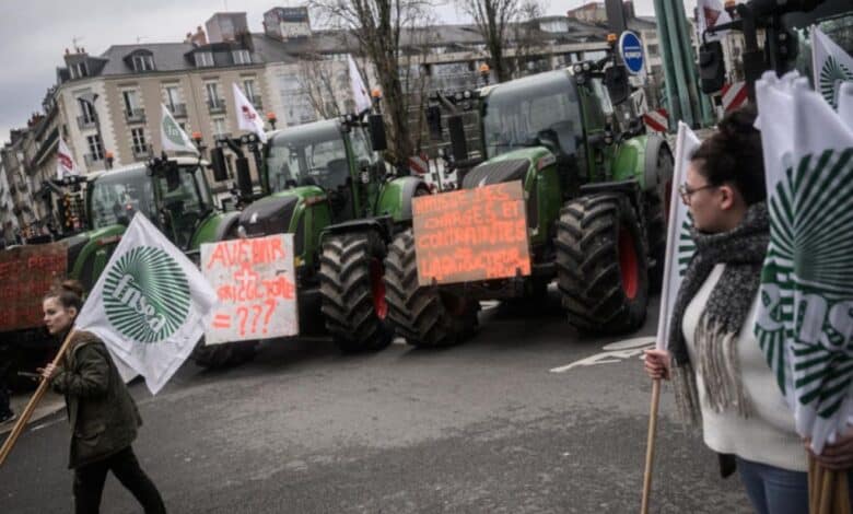 ¿El comercio internacional condena a los agricultores franceses