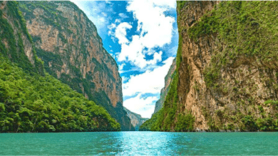 Vocero de Turismo invita a visitar Chiapas y disfrutar de la naturaleza