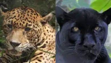 ¿Cuánto cuesta la entrada y cómo llego al ZooMat? (Fotos de ZooMat)