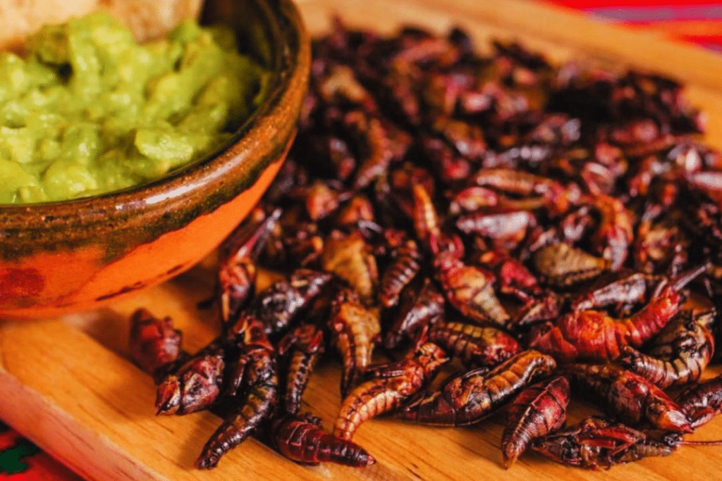 Explorando La Tradición Y Sabor De Los Chapulines De Oaxaca - El ...