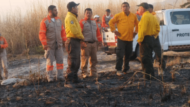 Aumentan incendios en la costa de Chiapas; peligra 'La Encrucijada'