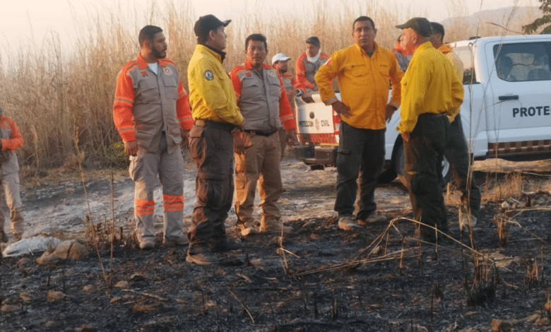 Aumentan incendios en la costa de Chiapas; peligra 'La Encrucijada'
