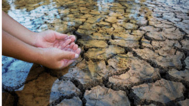 Chiapas, entre los estados que podrían sufrir sequías intensas
