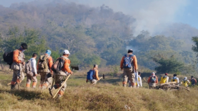 Chiapas registró 49 puntos de calor; aumentan los incendios