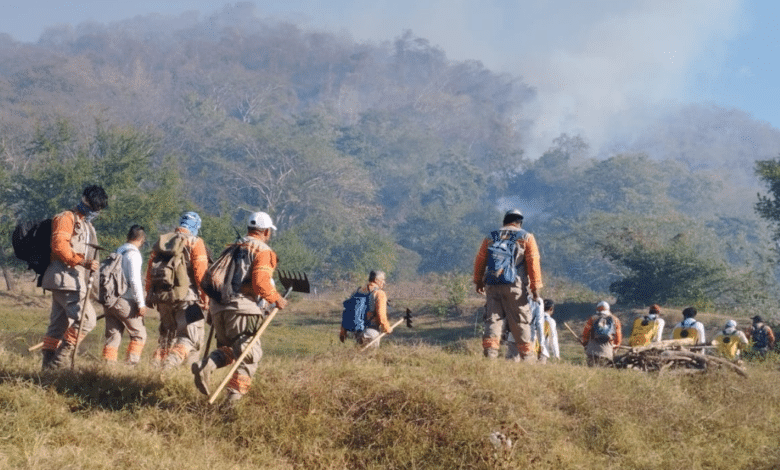 Chiapas registró 49 puntos de calor; aumentan los incendios