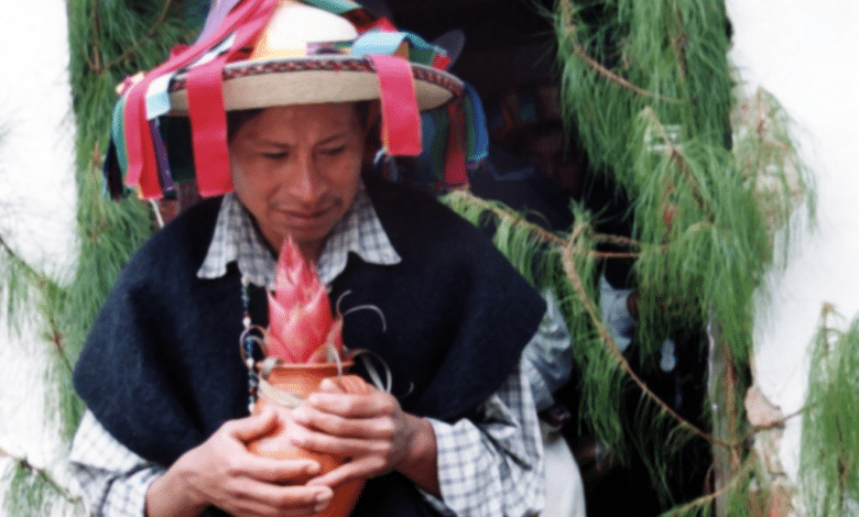 INEGI advierte desaparición de siete lenguas en Chiapas