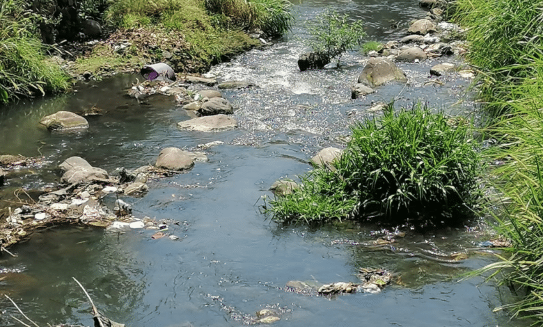 Los ríos de la costa de Chiapas están muy contaminados Conagua