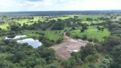 Pemex busca súper campo en Chiapas