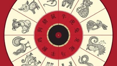 Año Nuevo Chino 2024: ¿Qué animales hay en el horóscopo chino?