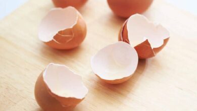 Los usos que se le pueden dar a las cascaras de huevo