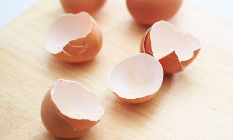 Los usos que se le pueden dar a las cascaras de huevo