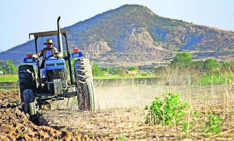 Aumentar 49% producción del campo requerirá de 170 acciones: CNA