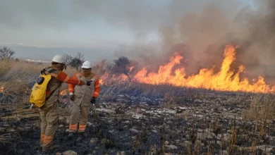 Se registra peligroso incendio cerca del aeropuerto de Chiapa de Corzo