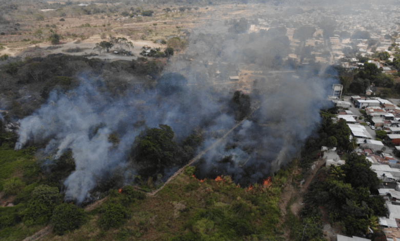 Se registran siete incendios forestales en las últimas 24 horas en Chiapas