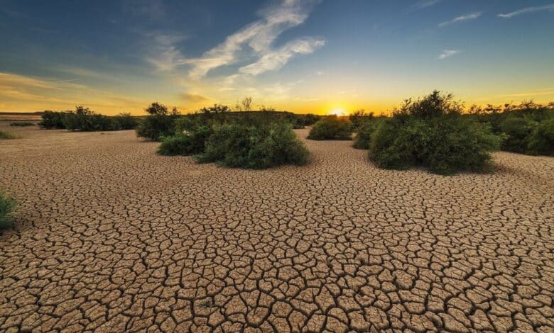 fALTA DE AGUA.