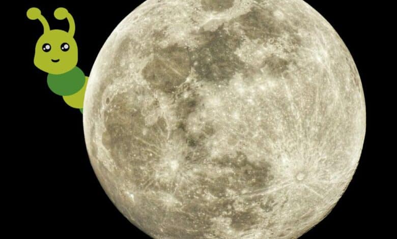 Luna de Gusano 2024, la última Luna llena de invierno