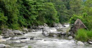 Ríos de la costa de Chiapas bajan un 30 % de su nivel de agua