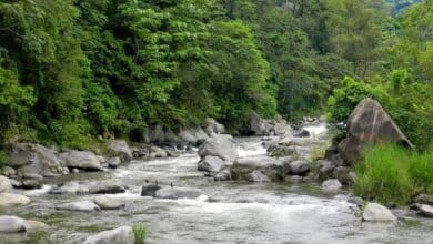 Ríos de la costa de Chiapas bajan un 30 % de su nivel de agua