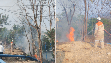 Chiapas supera los 30 incendios; es la sexta entidad con más siniestros