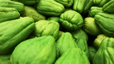 Descubriendo el chayote un tesoro nutritivo y versátil de la naturaleza