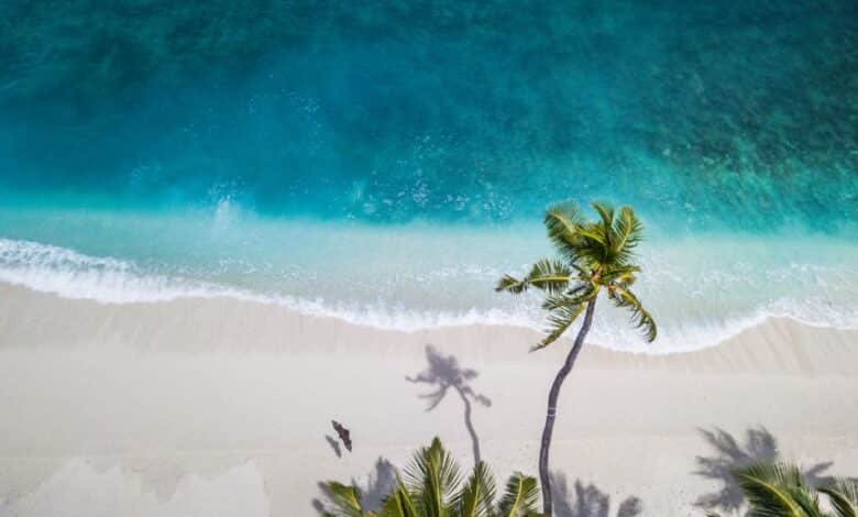 Las mejores playas de México y qué hacer en ellas
