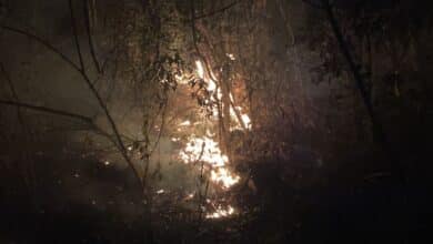 Fuego arrasa con el cerro Mactumatza