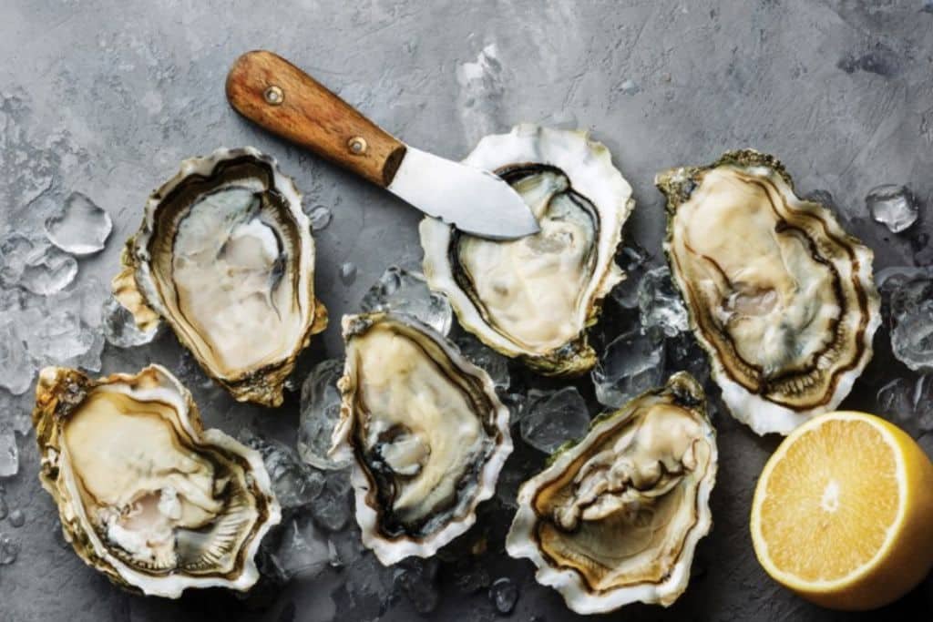 Esta es la forma correcta de comer almejas, ostras y ostiones – El ...