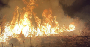 ¡Crisis ambiental! Incendios en Chiapas afectan la calidad del aire