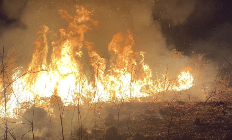 ¡Crisis ambiental! Incendios en Chiapas afectan la calidad del aire