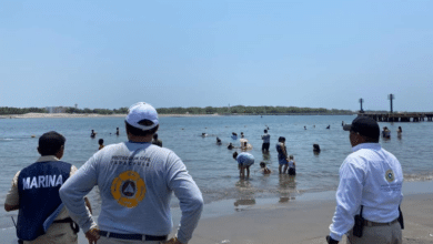 Alertan por presencia de medusas en playas de Tapachula