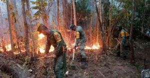 Controlan incendio en Mactzantic; consumió 70 hectáreas