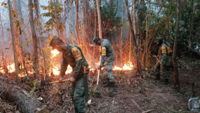 Controlan incendio en Mactzantic; consumió 70 hectáreas