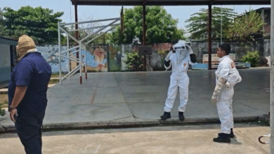 Estudiantes son atacados por abejas en Tapachula