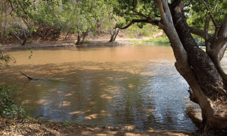 Piden a los ciudadanos ayudar a cuidar el agua
